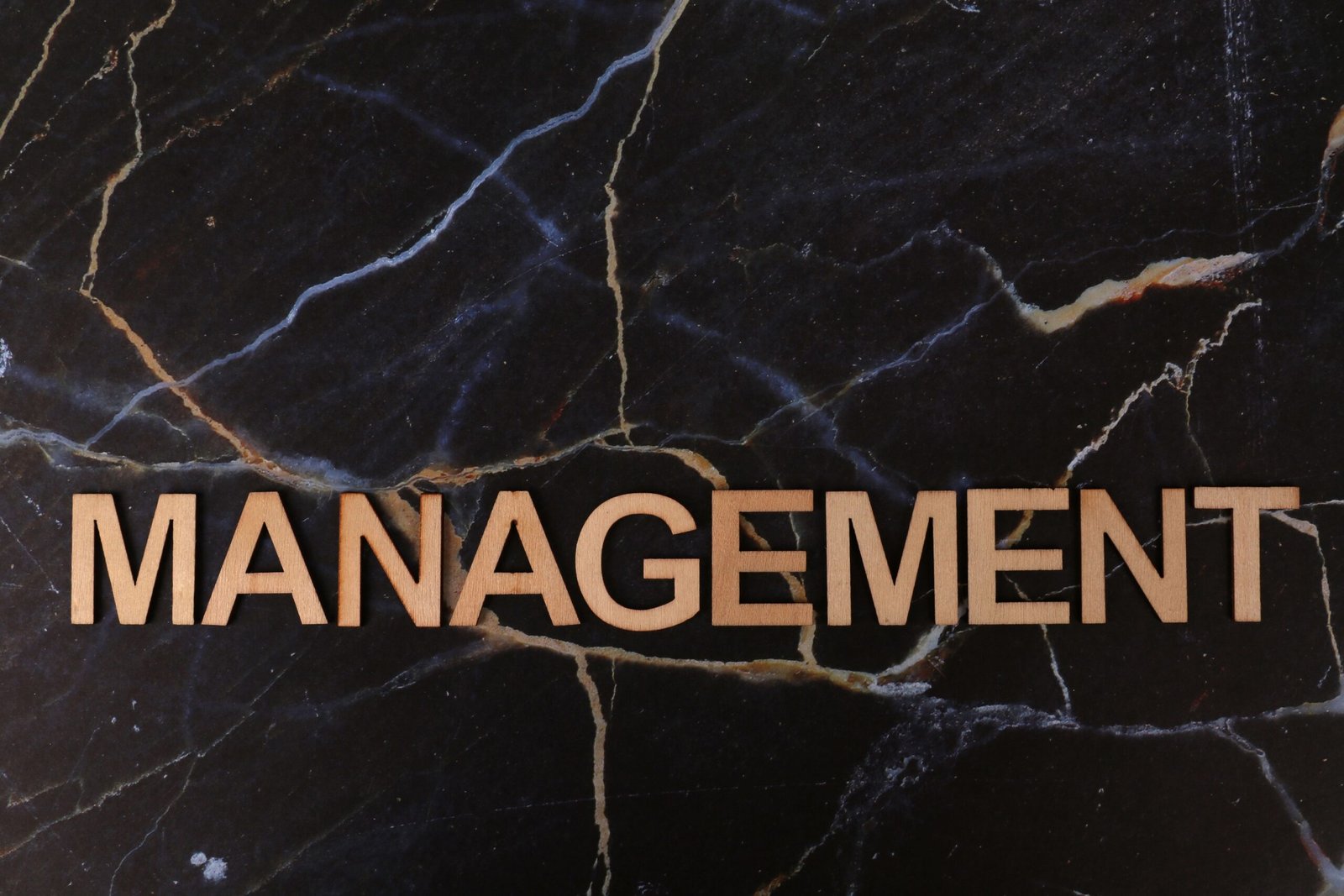 Talent Management